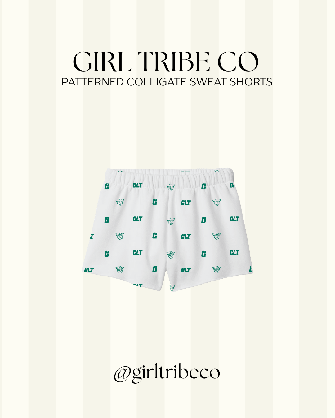UNC Charlotte Logo Embroidered Shorts