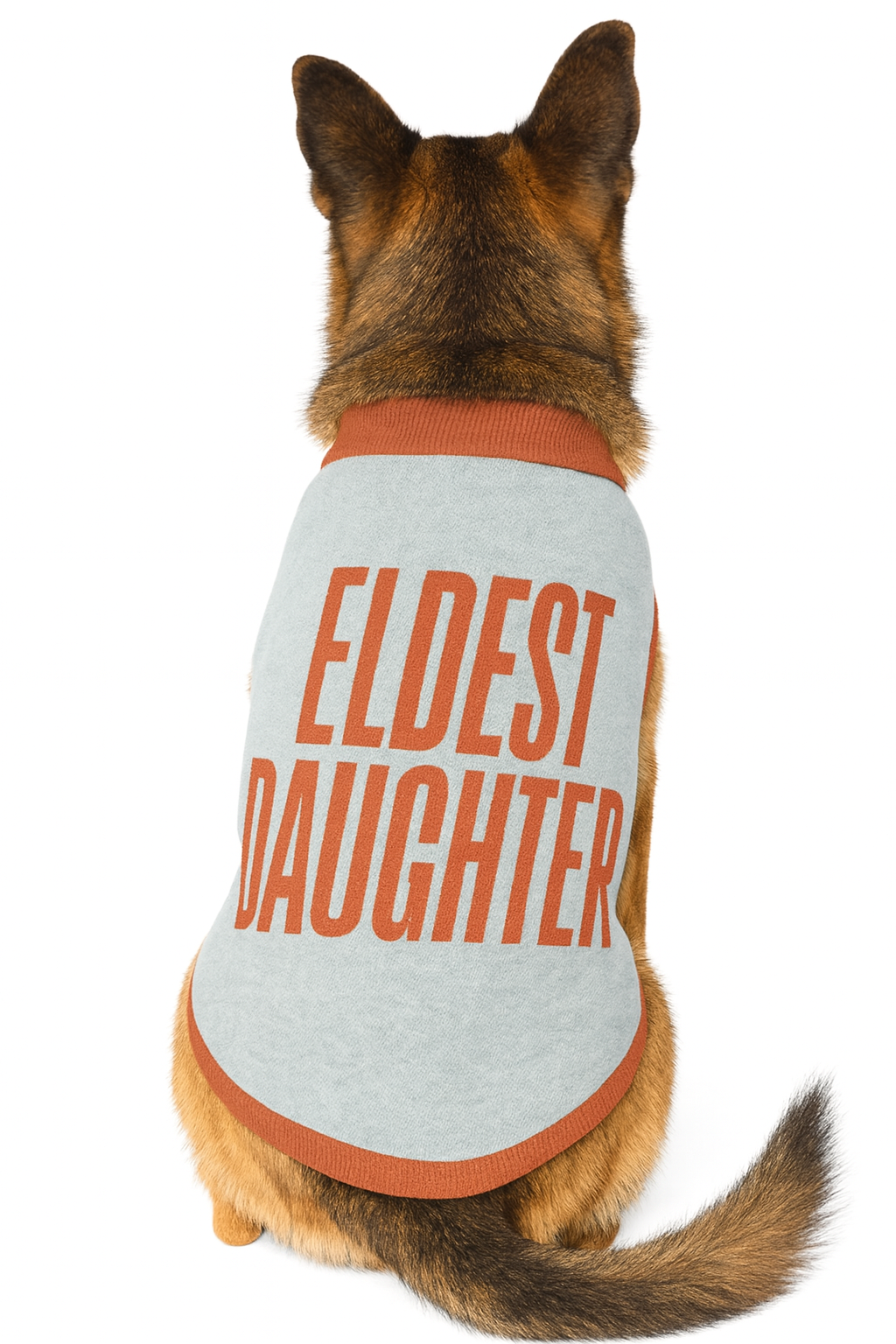 Eldest Daughter Knitted pet sweater