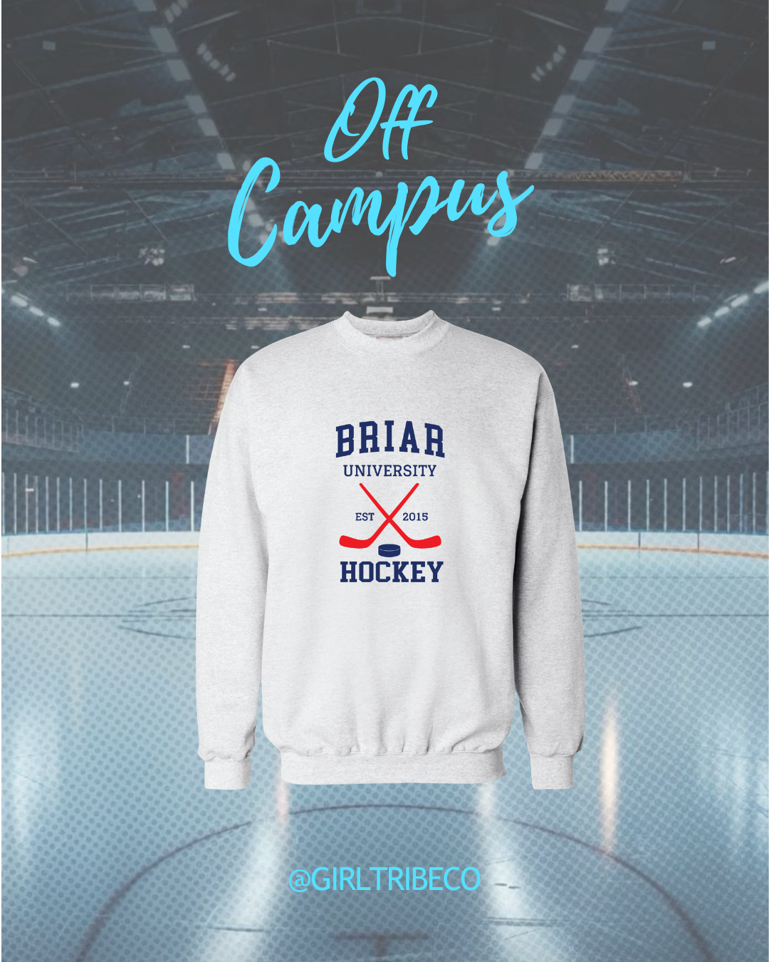 Briar Hockey Sweatshirt in Ash