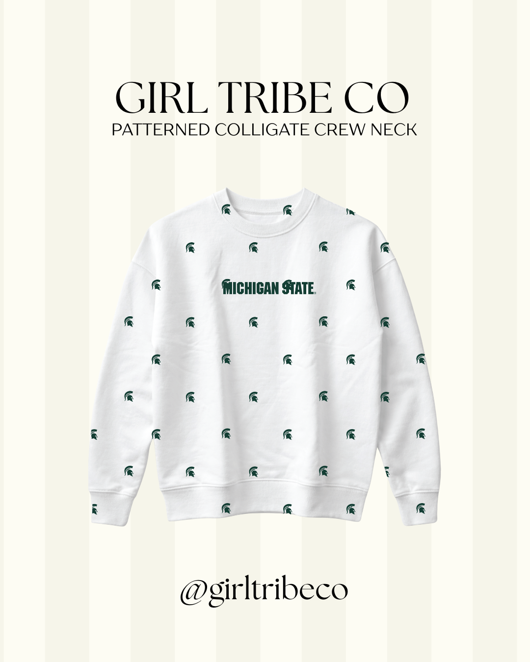 Michigan State Logo Embroidered Crewneck