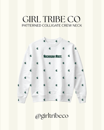 Michigan State Logo Embroidered Crewneck