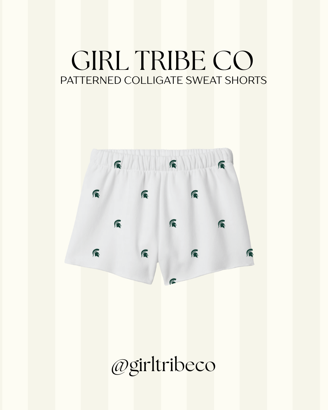 Michigan State Logo Embroidered Shorts