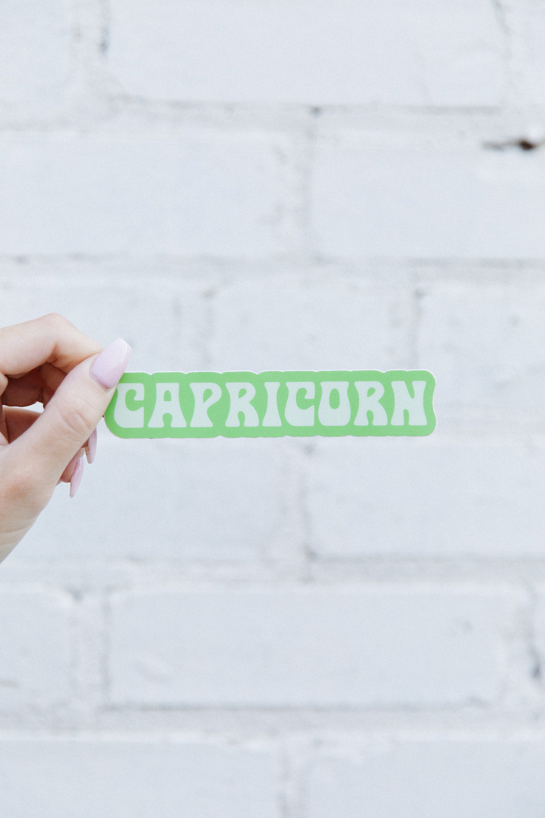 Capricorn Zodiac Sticker