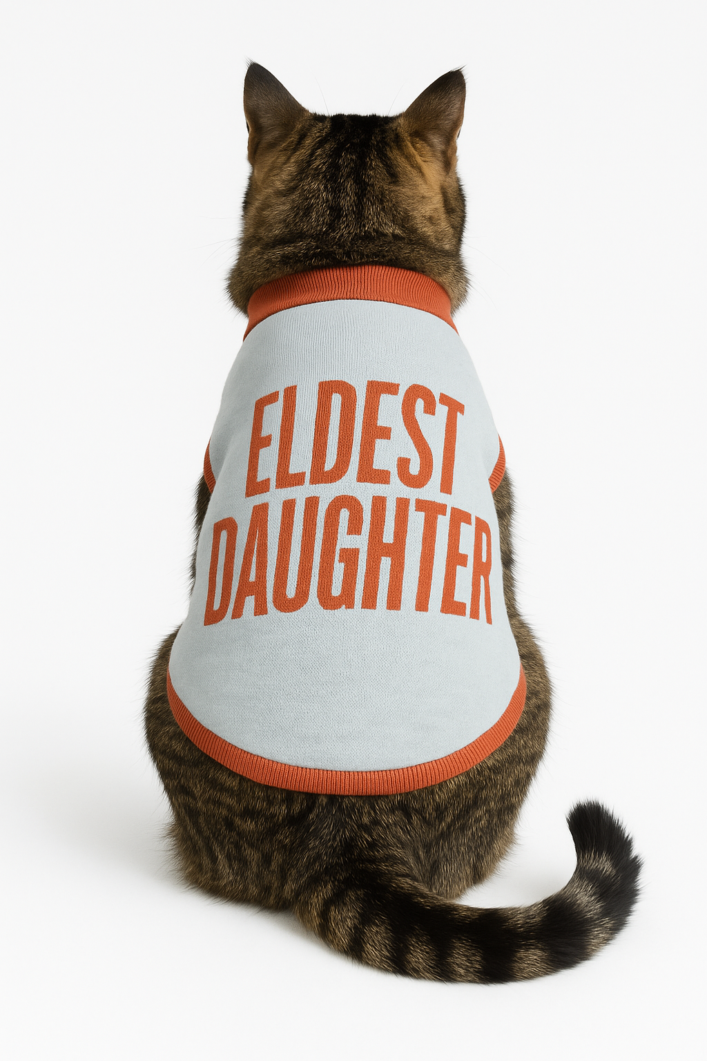 Eldest Daughter Knitted pet sweater