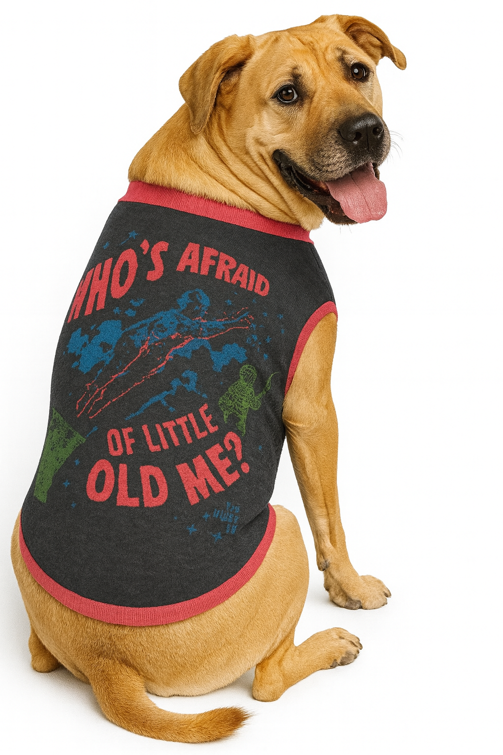 Who's Afraid of Little Old Me? Knitted Pet Sweater