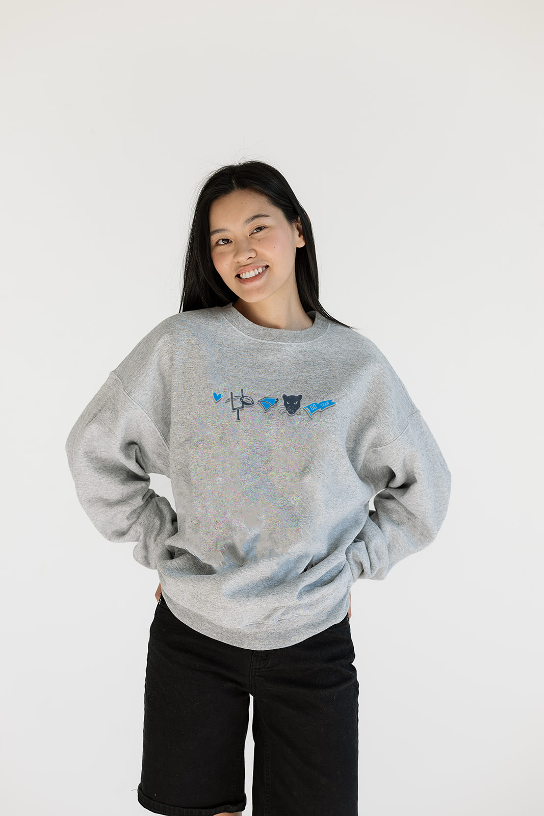 Carolina Icon Embroidered Sweatshirt