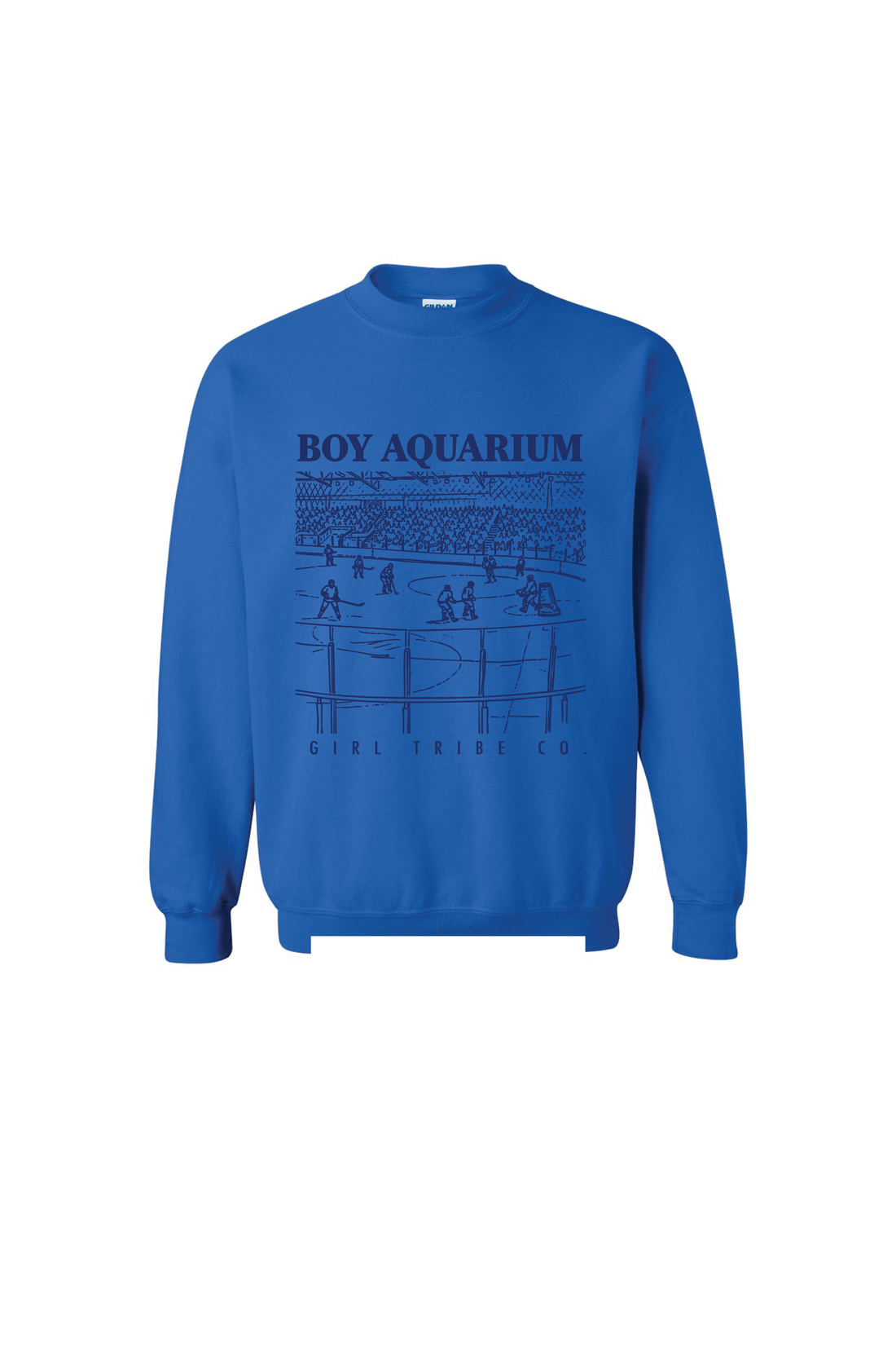 Boy Aquarium Sweatshirt in Blue
