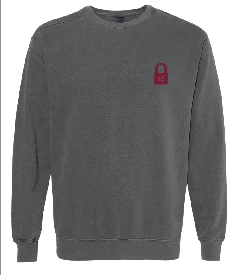 Protect Your Energy Sweatshirt in Pepper and Maroon - front