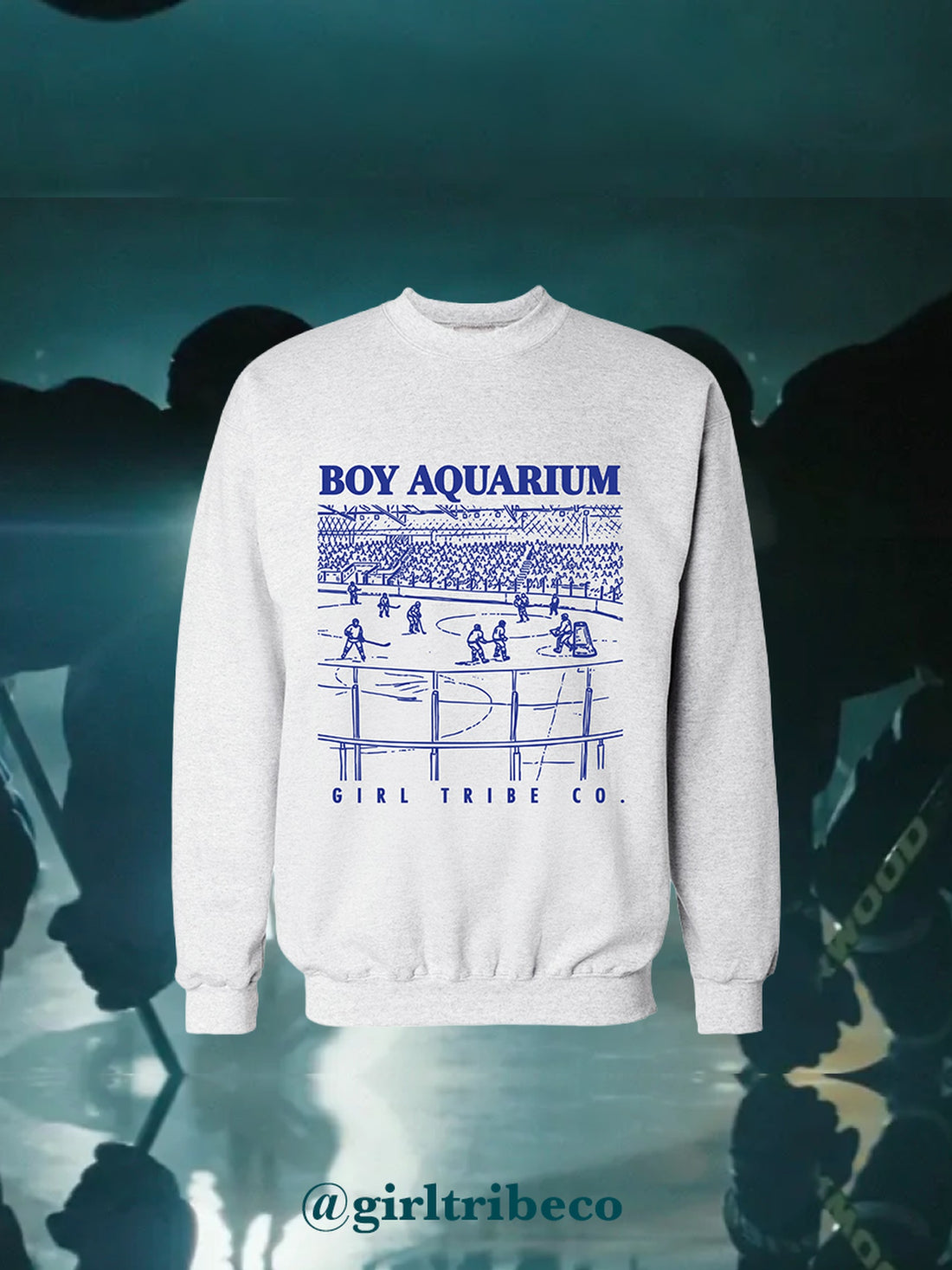 Boy Aquarium Sweatshirt, rivals-to-lovers hockey romance merch by Girl Tribe Co.