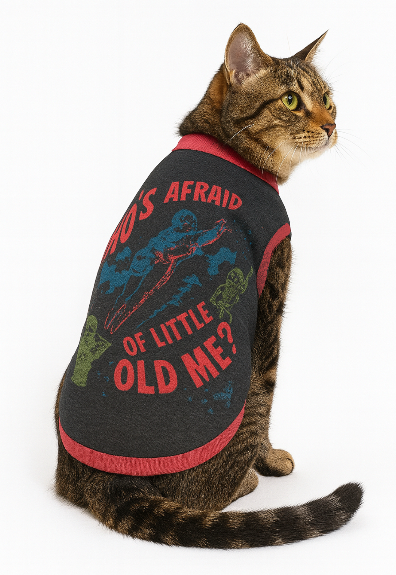Who's Afraid of Little Old Me? Knitted Pet Sweater