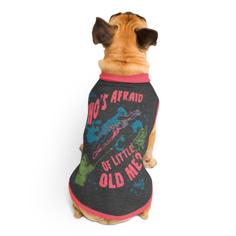 Who's Afraid of Little Old Me? Knitted Pet Sweater