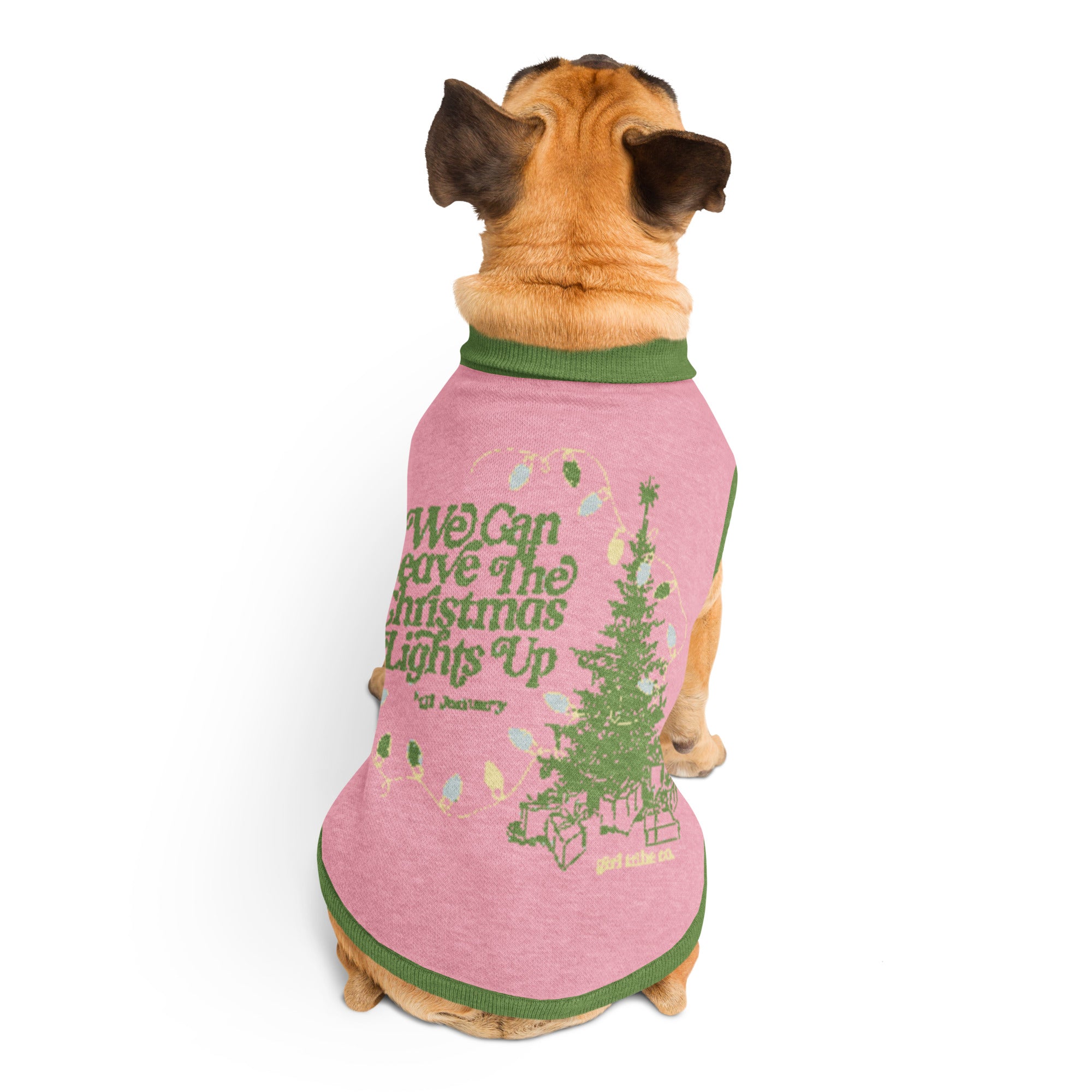 Leave the Lights Up Knitted Pet Sweater