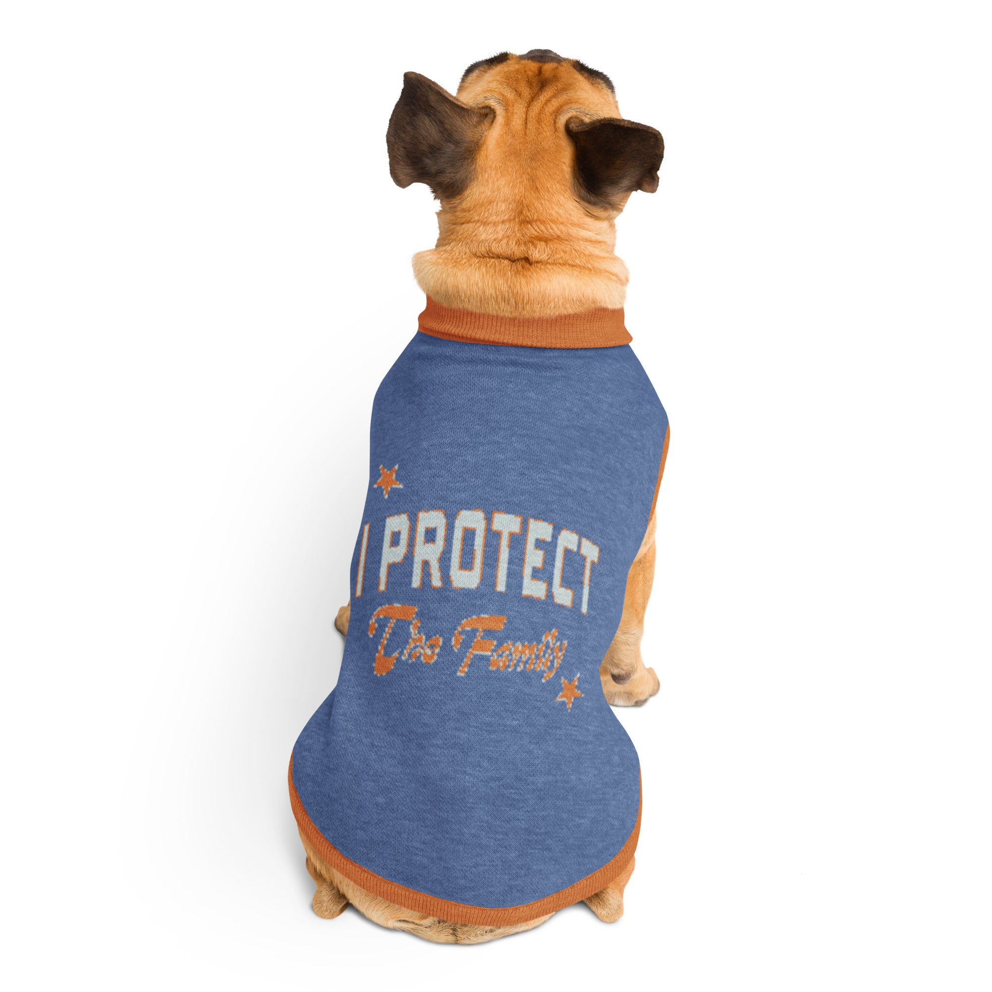 I Protect the Family Knitted pet sweater