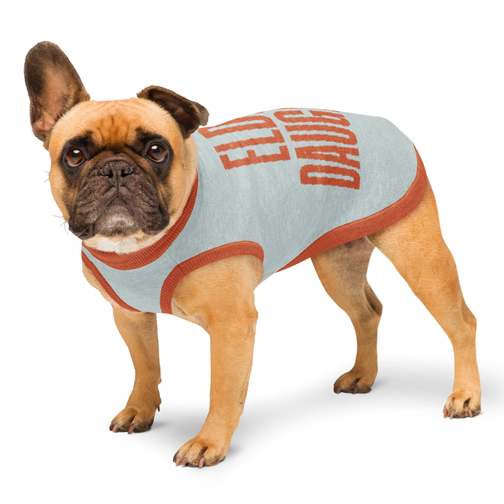 Eldest Daughter Knitted pet sweater