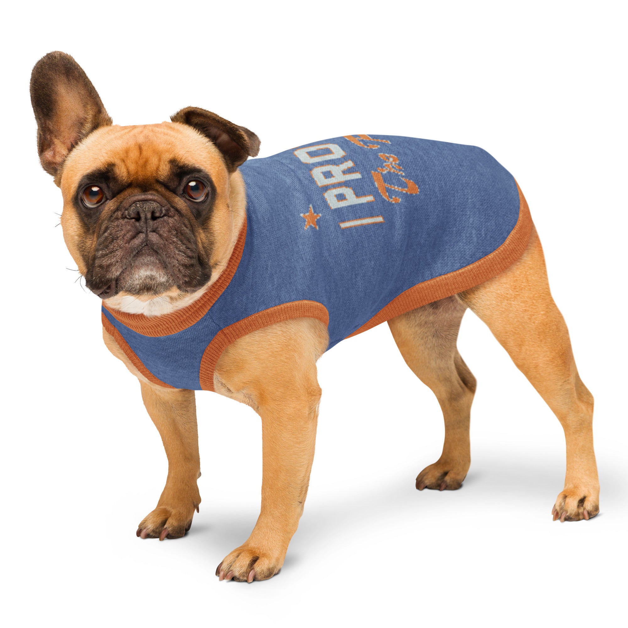 I Protect the Family Knitted pet sweater