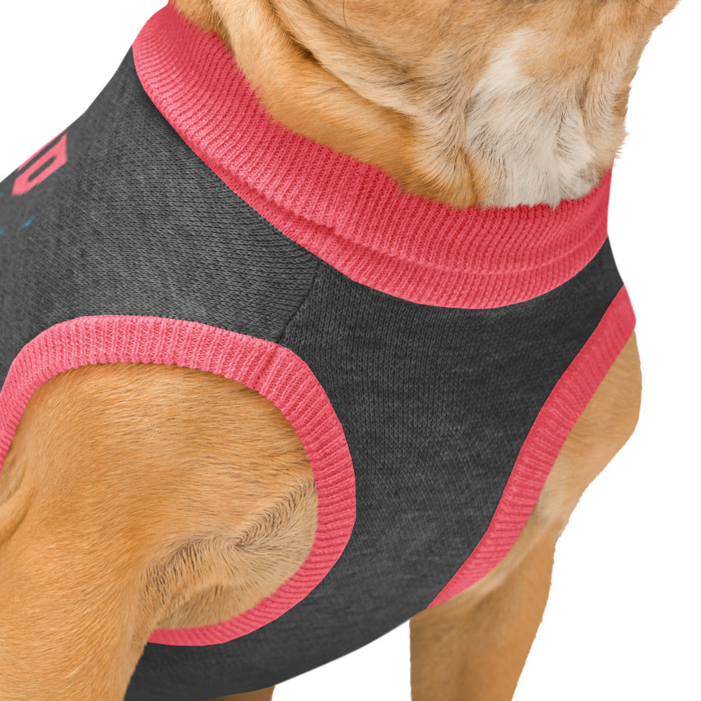 Who's Afraid of Little Old Me? Knitted Pet Sweater