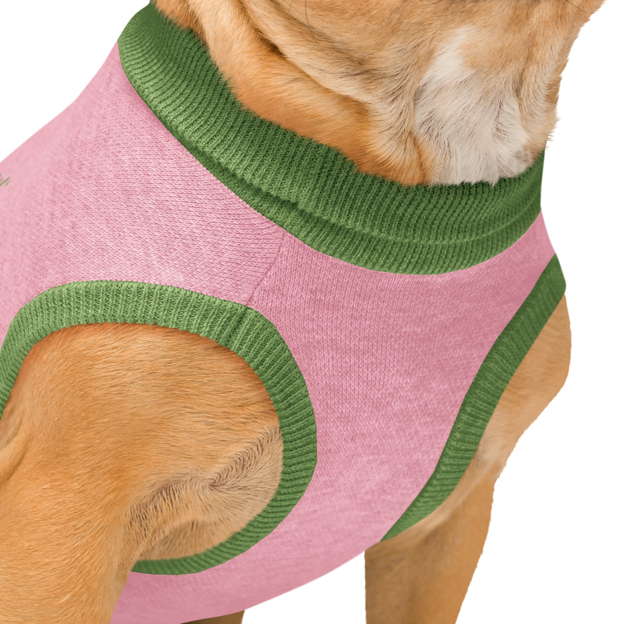 Leave the Lights Up Knitted Pet Sweater