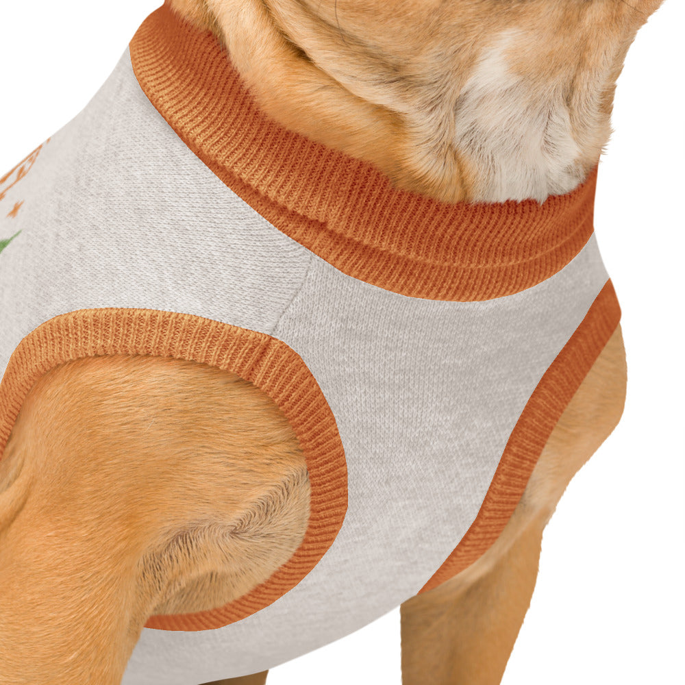 Showgirl Era Knitted Pet Sweater