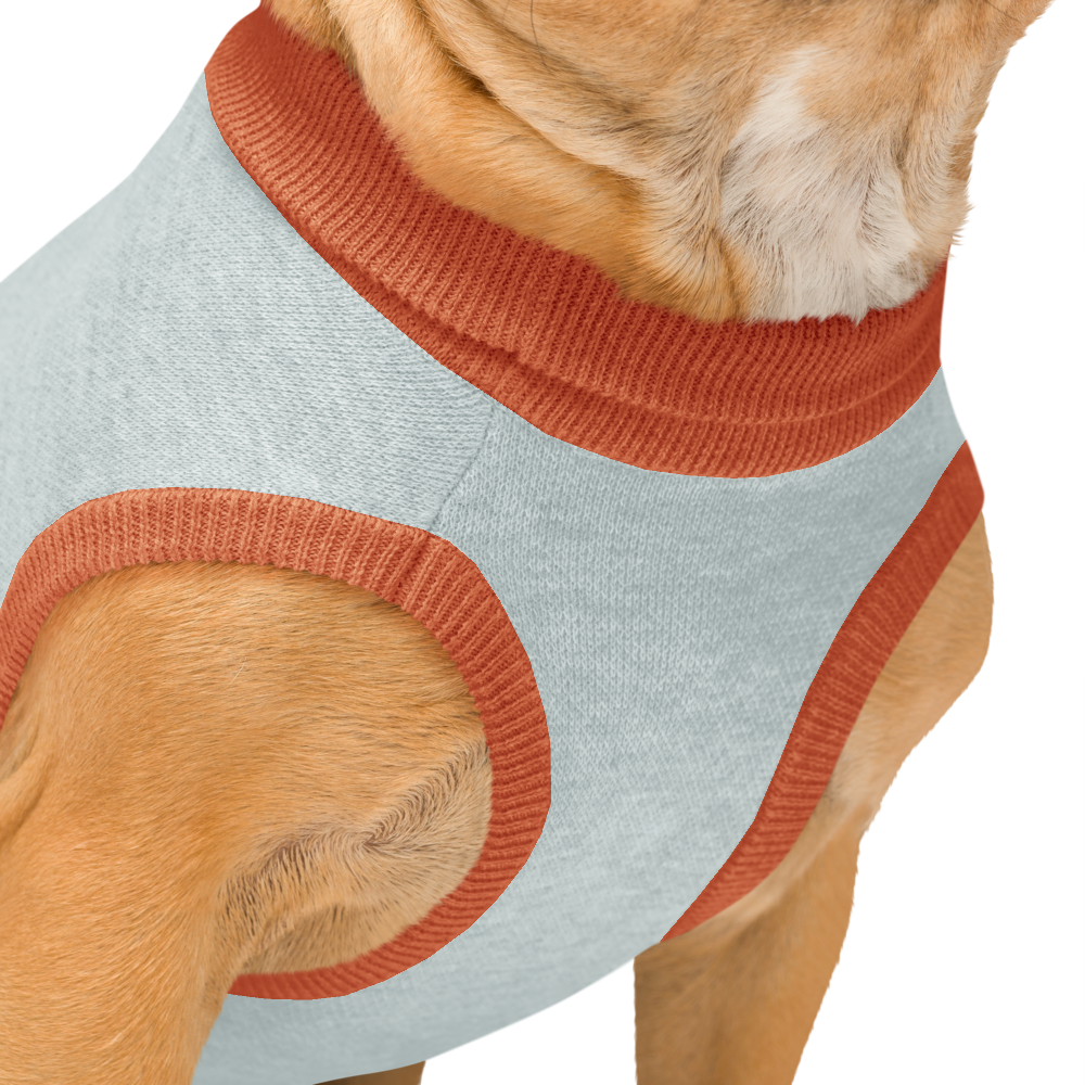 Eldest Daughter Knitted pet sweater