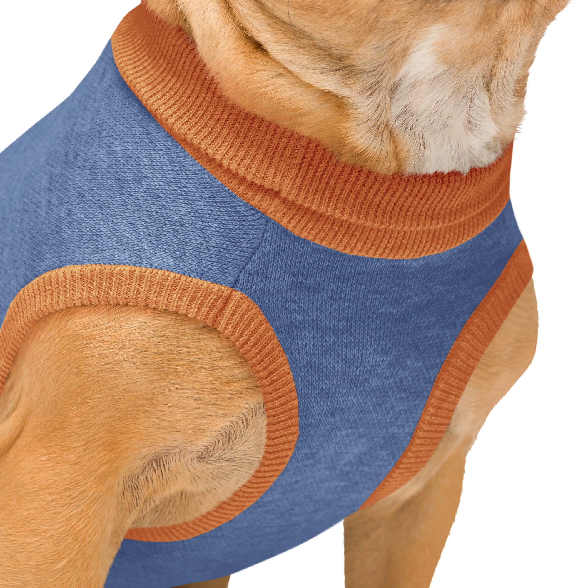 I Protect the Family Knitted pet sweater