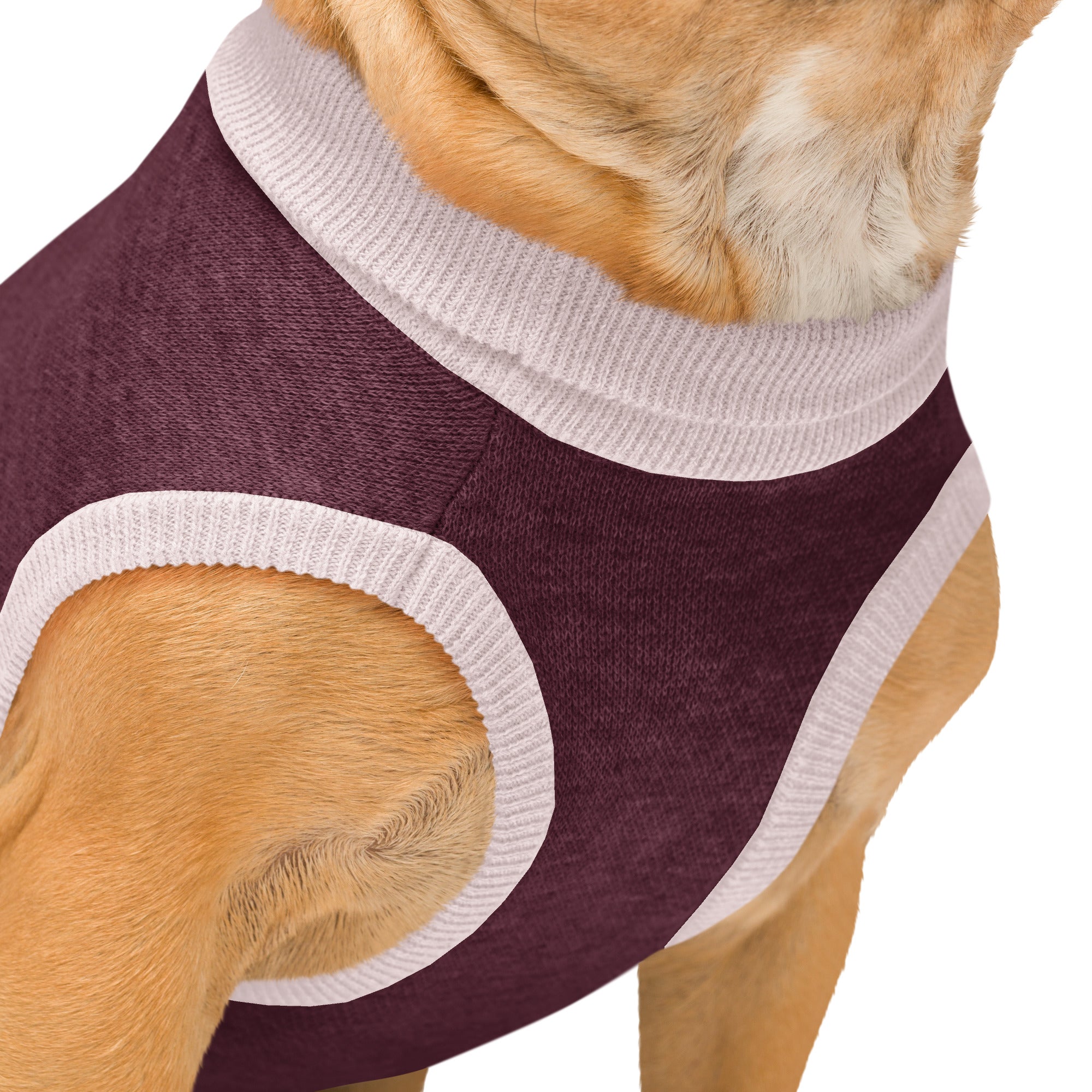 Boring Barbie Knitted pet sweater