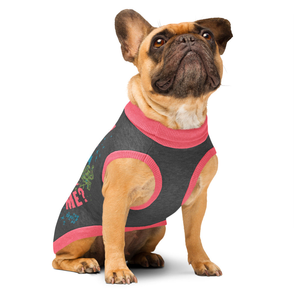 Who's Afraid of Little Old Me? Knitted Pet Sweater