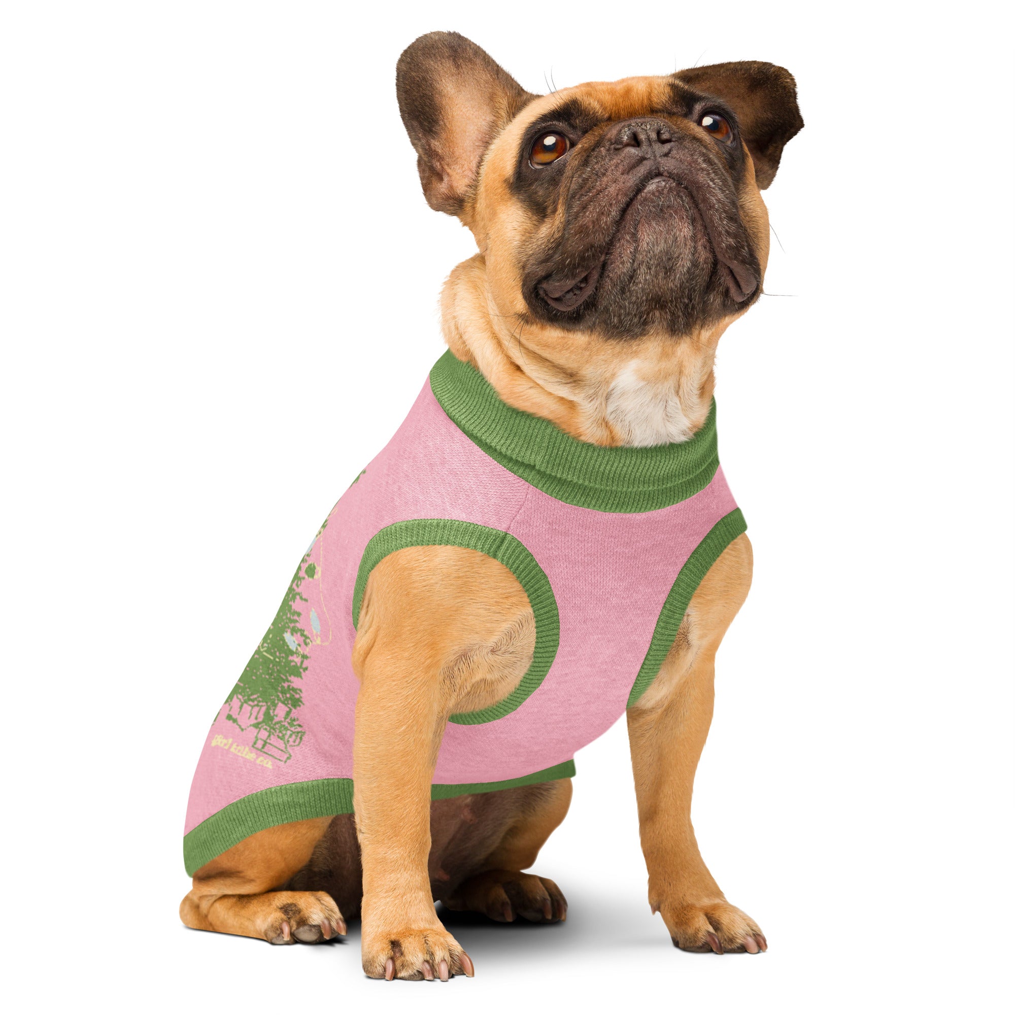 Leave the Lights Up Knitted Pet Sweater