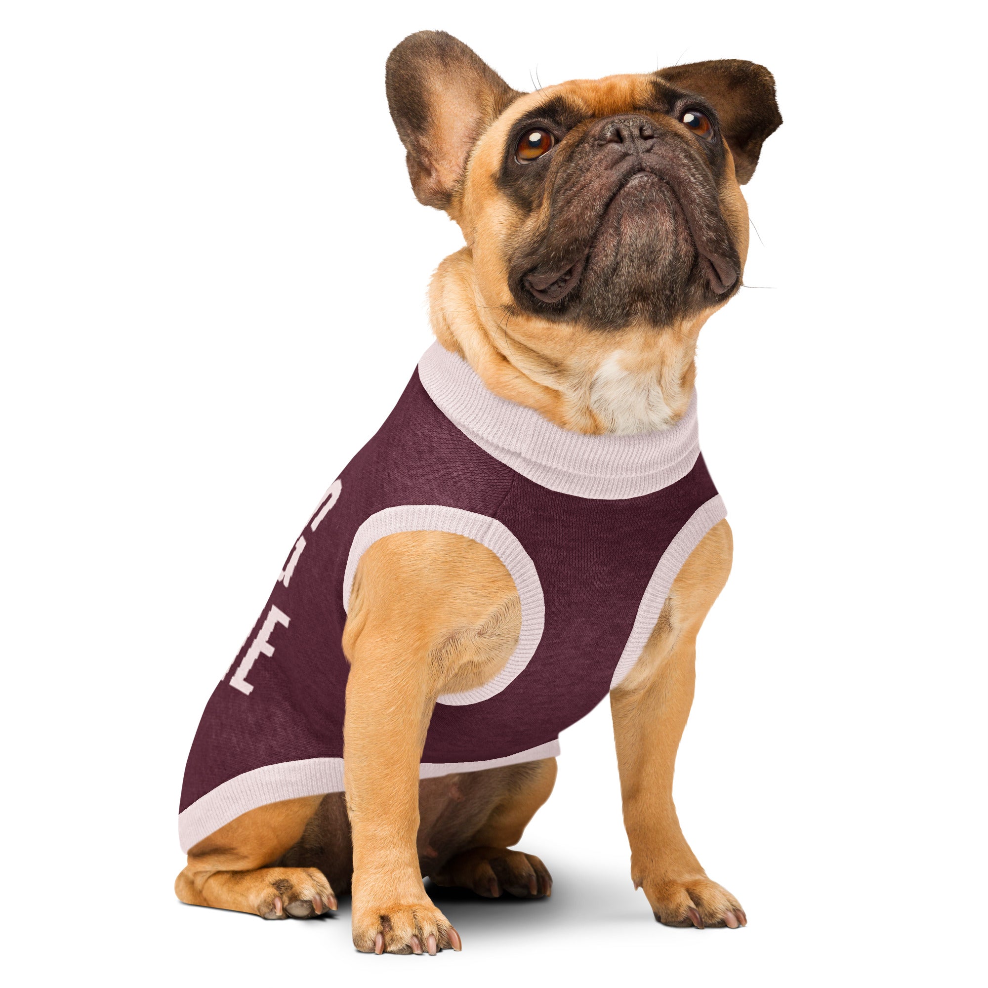 Boring Barbie Knitted pet sweater