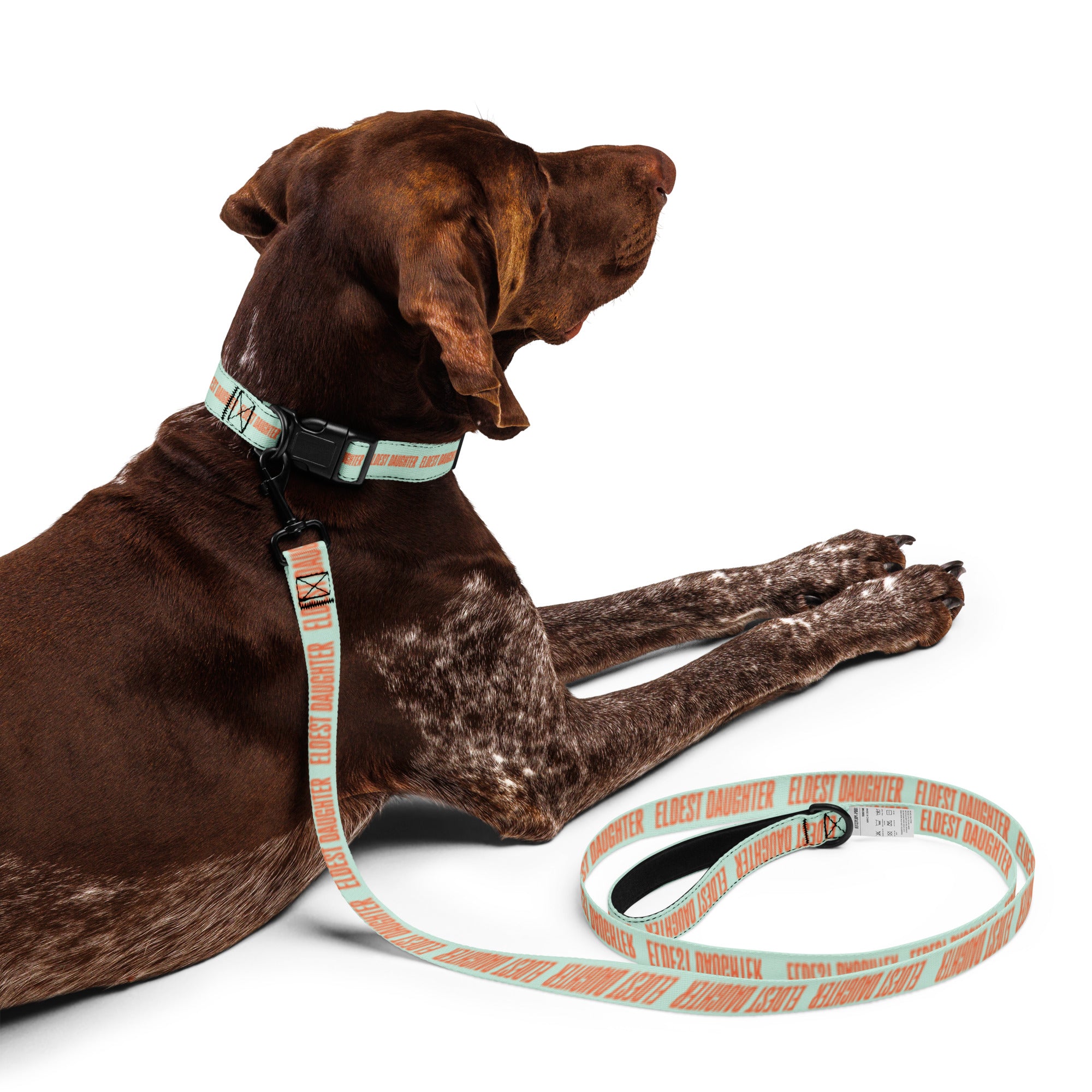 Eldest Daughter Pet collar & leash