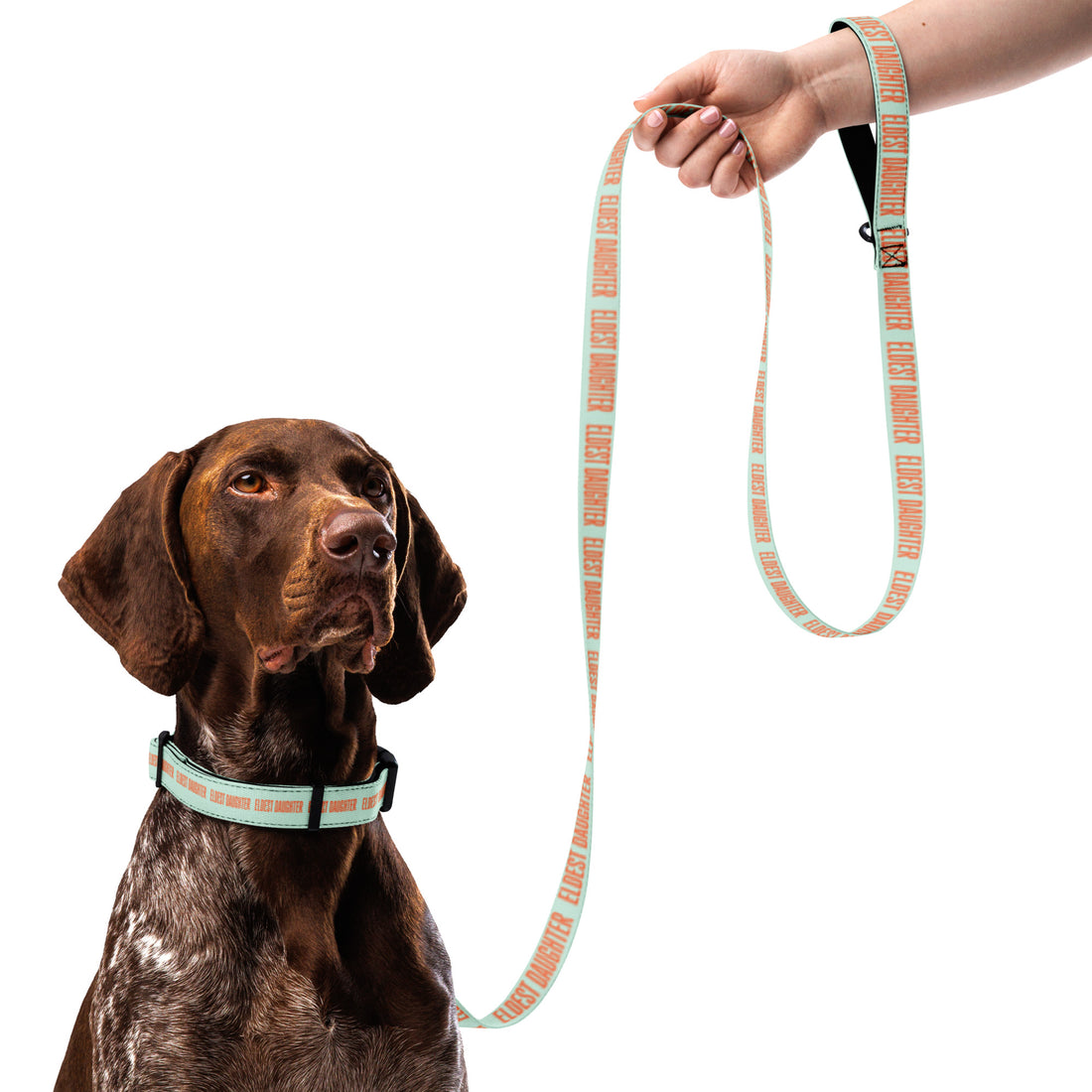 Eldest Daughter Pet collar & leash