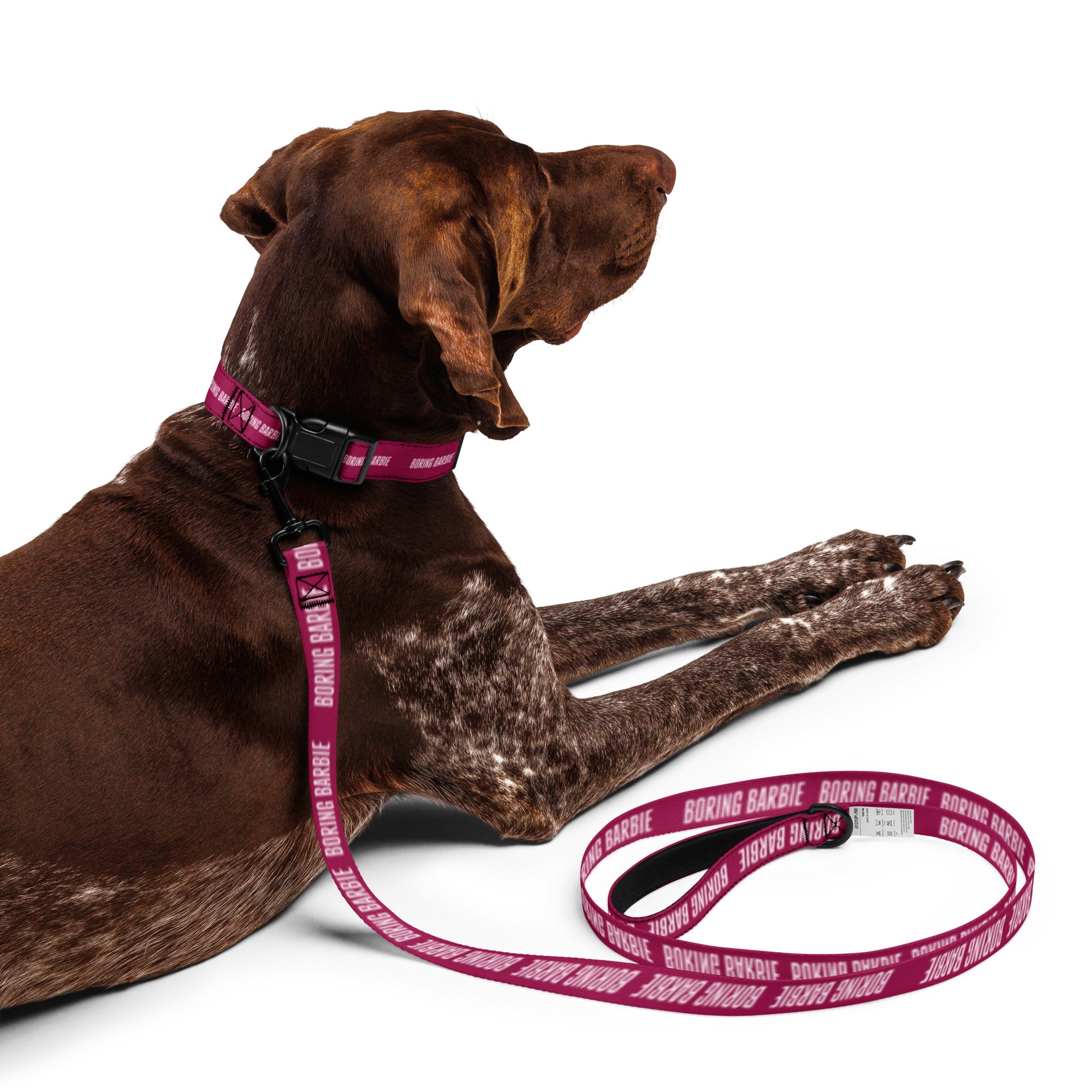Boring Barbie Pet collar & leash