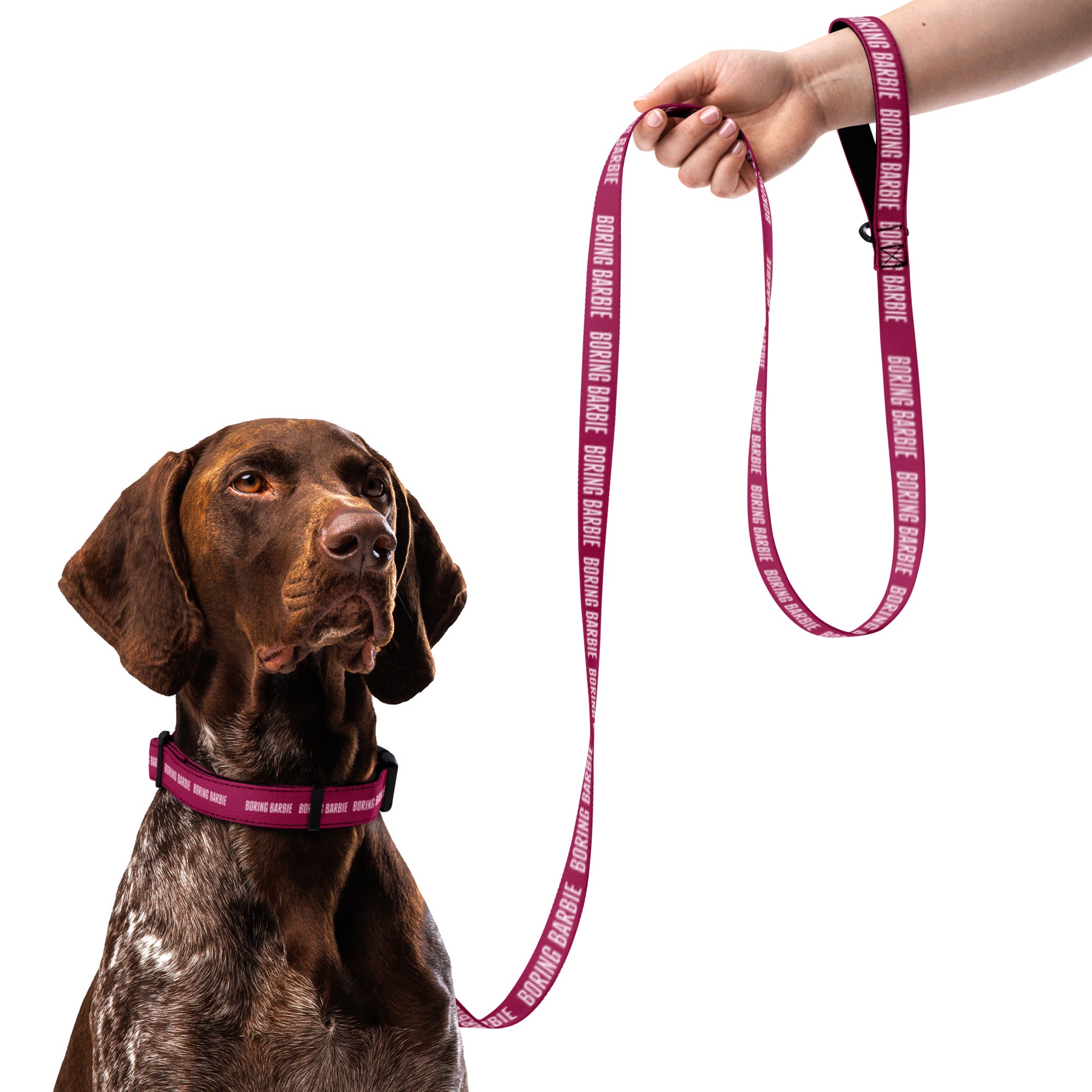 Boring Barbie Pet collar & leash