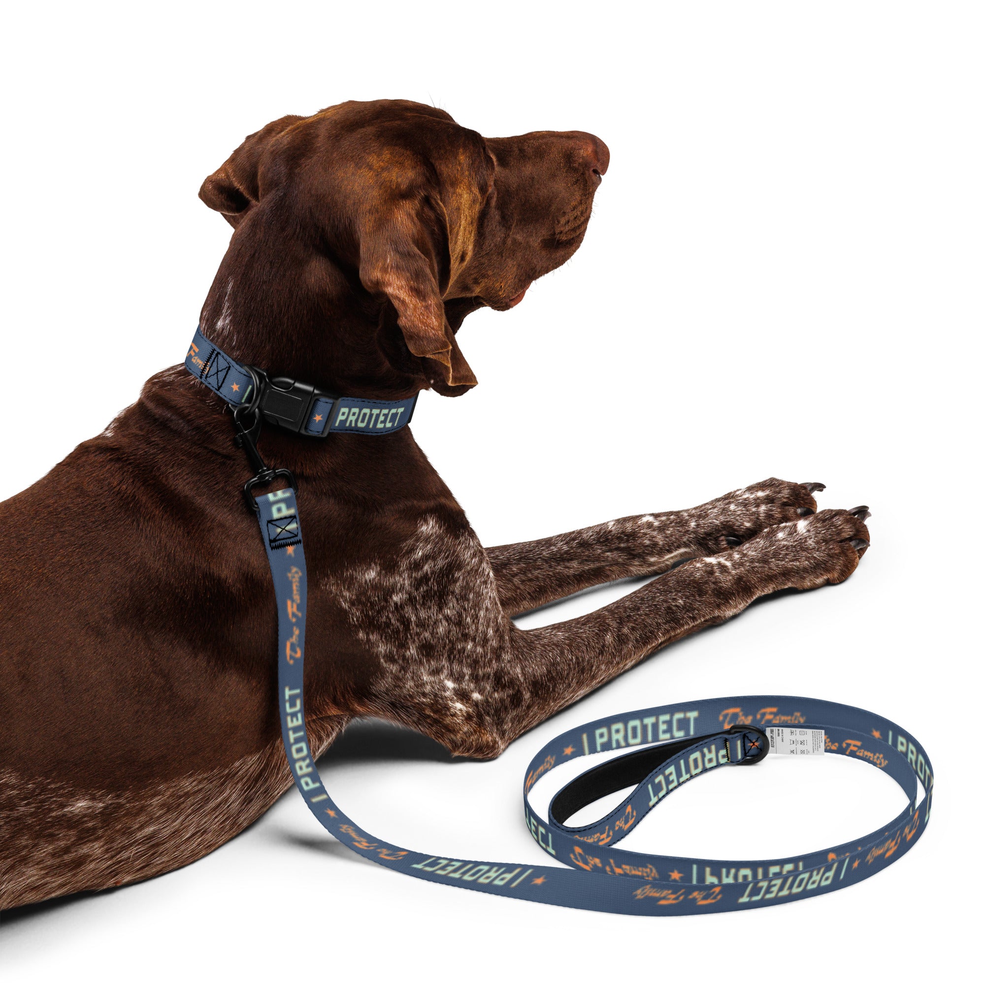 I Protect the Family Pet collar & leash