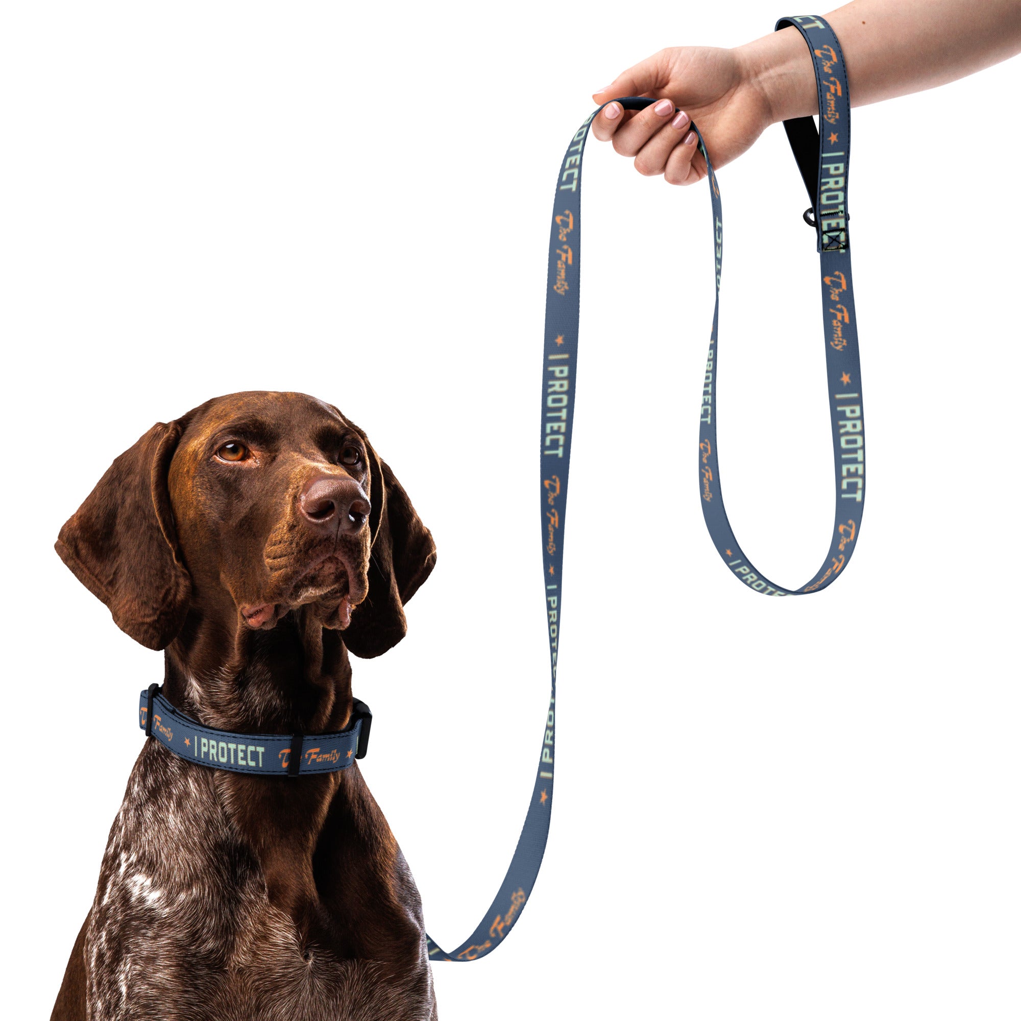 I Protect the Family Pet collar & leash